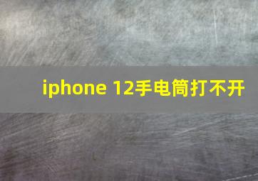 iphone 12手电筒打不开